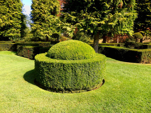 Kasten topiary gefunden in eyrignac manor garden, dordogne, franz - Foto, Bild