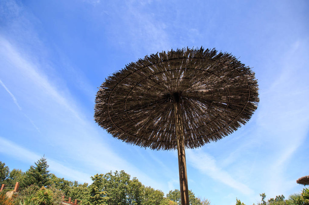 Doškové deštník na modré obloze  - Fotografie, Obrázek