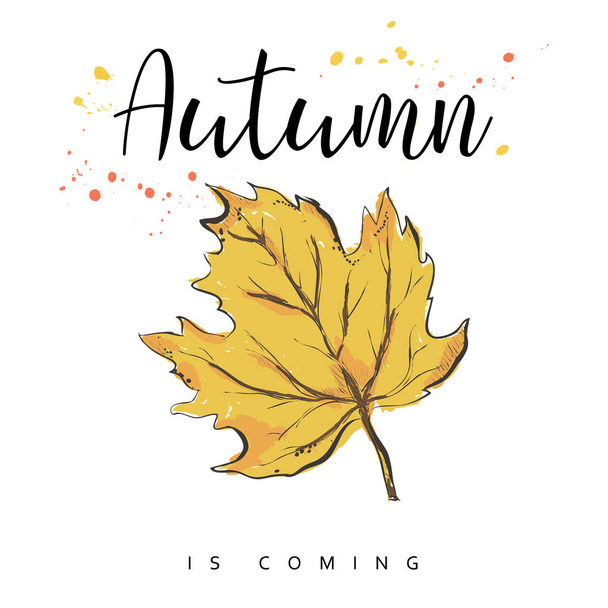 Közeledik az ősz. Őszi levelek. Kézzel rajzolt vektoros illusztráció. - Vektor, kép