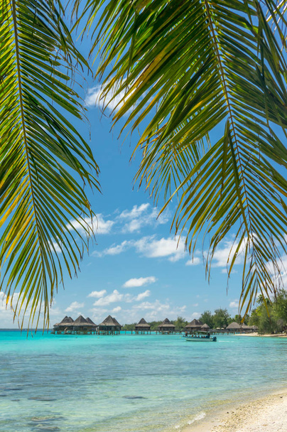 Paraíso vista do atol de Rangiroa, Polinésia Francesa
 - Foto, Imagem