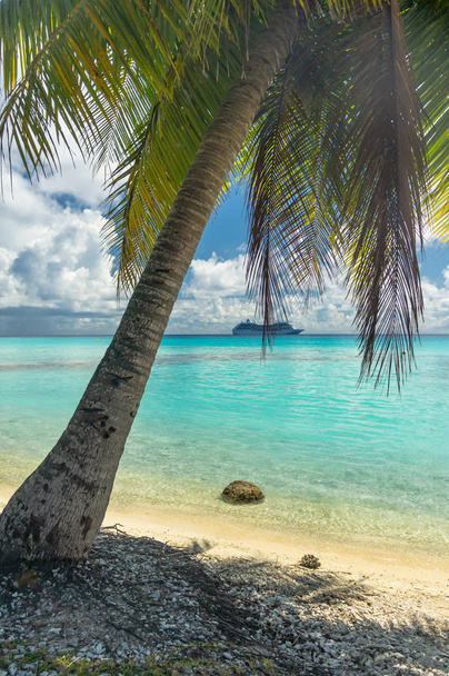 Cennet görünümü Rangiroa Atoll, Fransız Polinezyası - Fotoğraf, Görsel