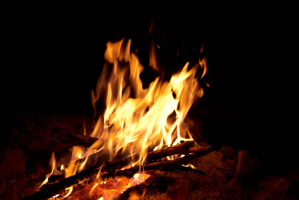 Campfire - Foto, Imagen