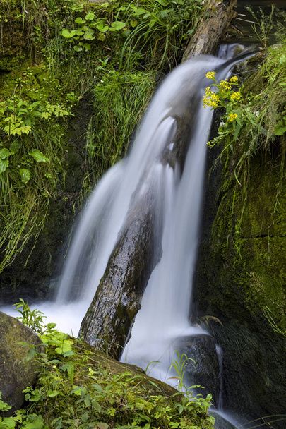 Paisaje de las cascadas de agua de un arroyo de montaña. El río fluye a través de rocas musgosas rodeadas por un hermoso bosque
. - Foto, imagen