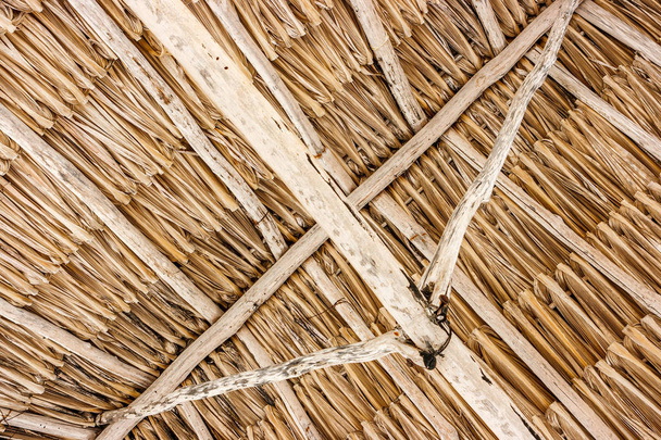 Detail slaměné střechy na pláži v Celestun, Yucatan, Mexiko - Fotografie, Obrázek