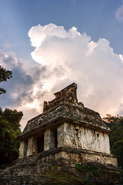 Ερείπια στο ηλιοβασίλεμα στον αρχαιολογικό χώρο Palenque, Τσιάπας, Μεξικό. - Φωτογραφία, εικόνα