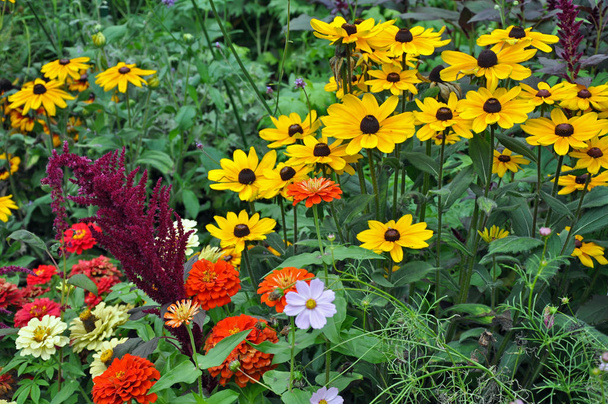 Renkli yaz bahçe - Fotoğraf, Görsel