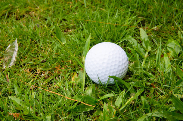 Гольф м'яч на траві
 - Фото, зображення