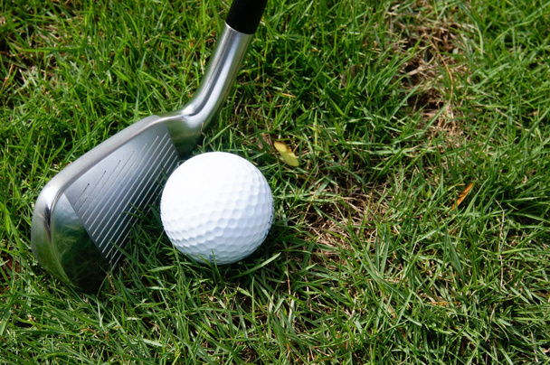 Гольф м'яч і гольф залізо на зеленій траві
 - Фото, зображення