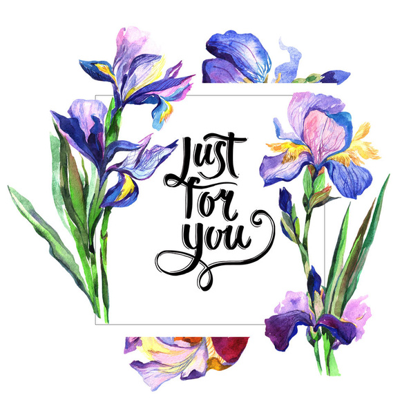 Cadre fleur iris fleur sauvage dans un style aquarelle
. - Photo, image