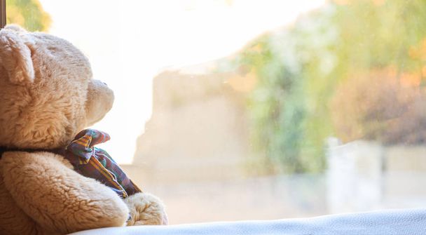 Teddy bear op een vensterbank - Foto, afbeelding