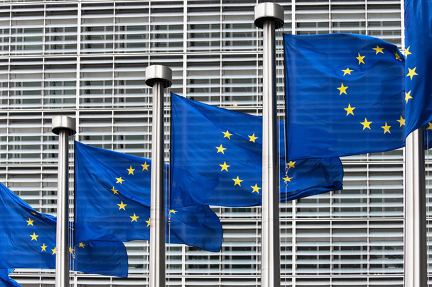 Flags of the European Union - Photo, Image