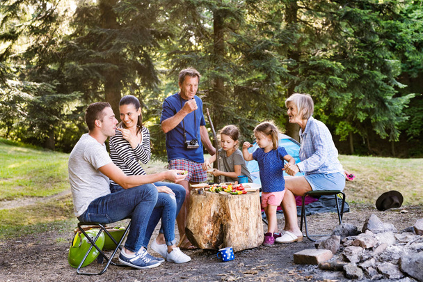 Beautiful family camping in forest, eating together. - Foto, imagen