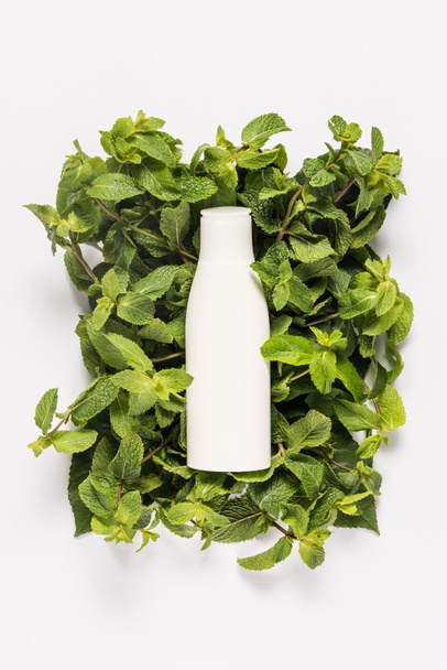 organic mint lotion   - Photo, Image