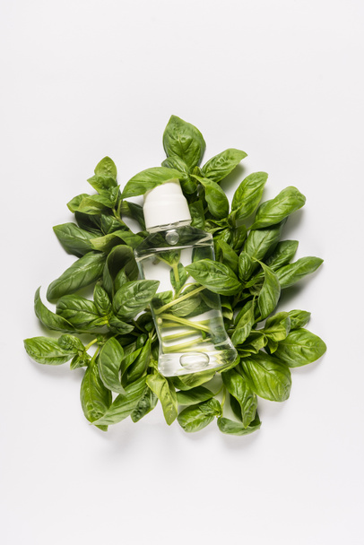 bottle with mint oil  - Photo, Image