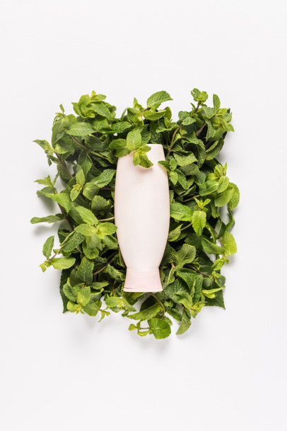 organic lotion on mint leaves - Fotografie, Obrázek