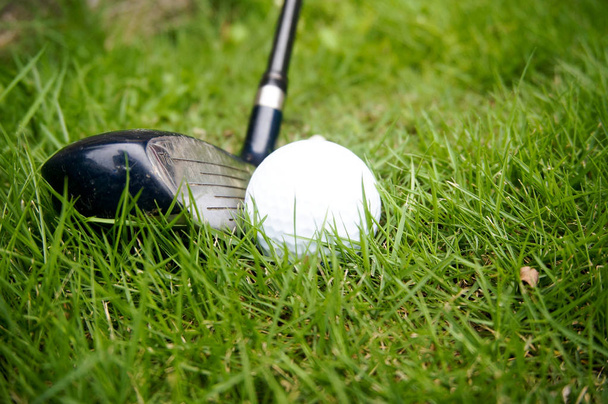 Valkoinen golf pallo nurmikolla
 - Valokuva, kuva