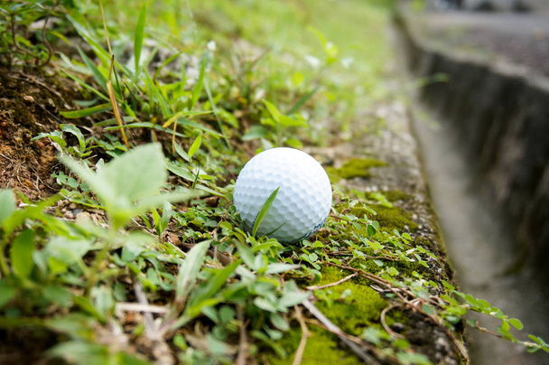 Білий м'яч для гольфу на траві
 - Фото, зображення