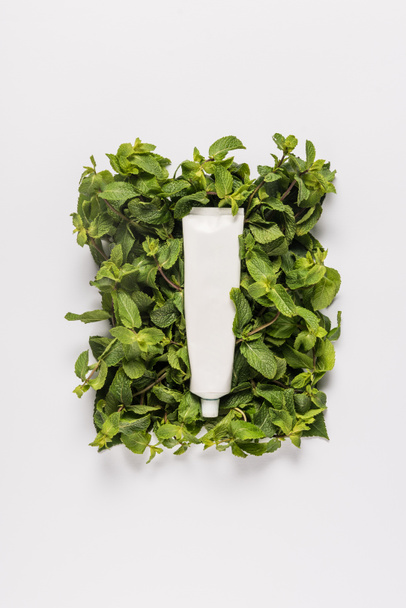 tube of organic mint cream - Photo, Image