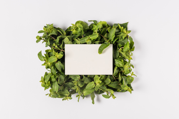 blank card on mint leaves - Fotografie, Obrázek