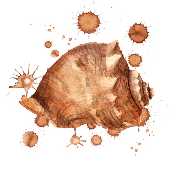 shell with paint blots - Fotó, kép