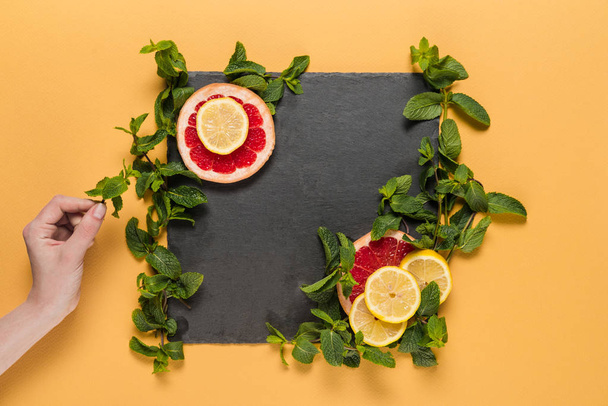 hand with mint leaves, citrus slices  - Photo, image
