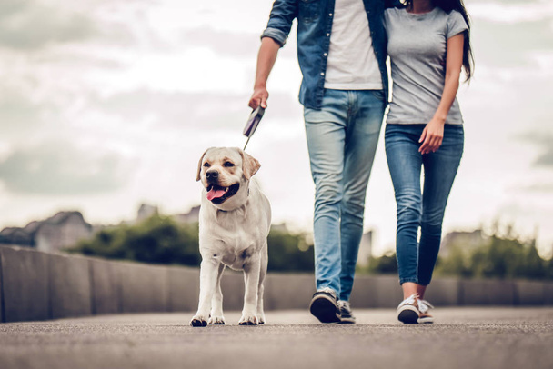 Couple on a walk with dog - Φωτογραφία, εικόνα