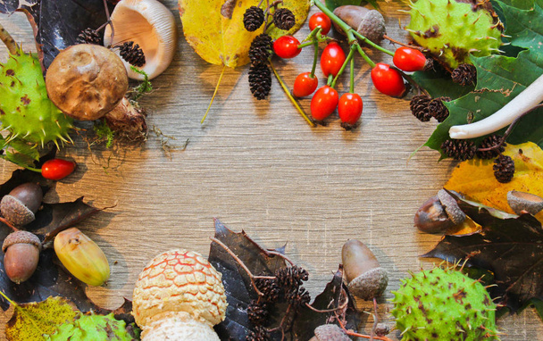 Осіннє листя натюрморту, каштани, гриби, жолудь, на спині деревини
 - Фото, зображення