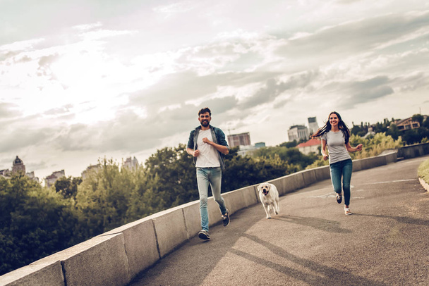 Couple on a walk with dog - Fotoğraf, Görsel
