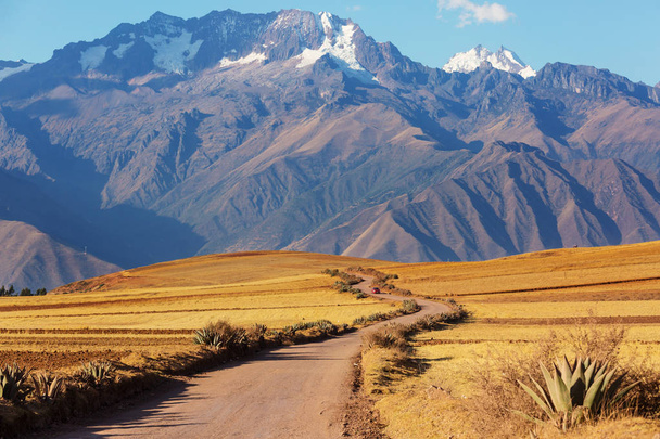 Pampas landscape in  Cordillera de Los Andes - Фото, зображення