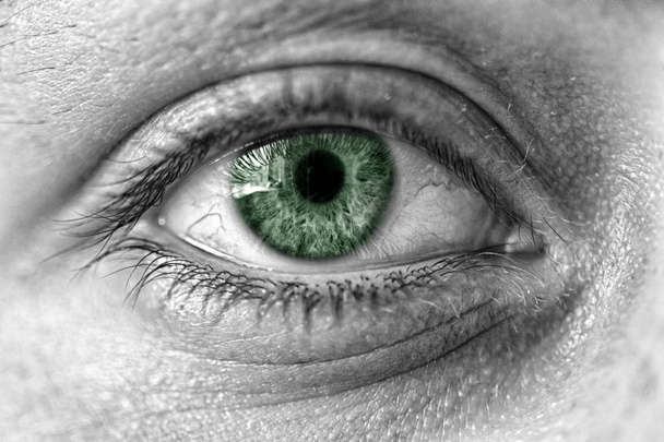 de close-up van het menselijk oog. groene leerling - Foto, afbeelding