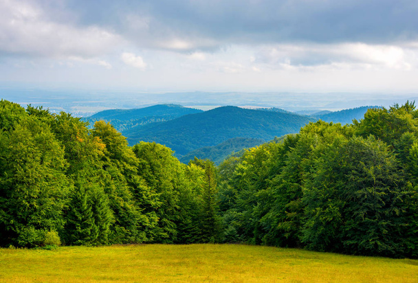 Photo of green forest and valley in Carpathian mountains - Photo, image
