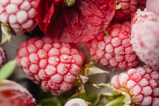red frozen berries - Photo, image