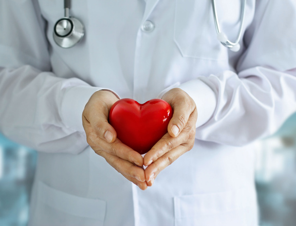 Médico com estetoscópio e forma de coração vermelho nas mãos
 - Foto, Imagem