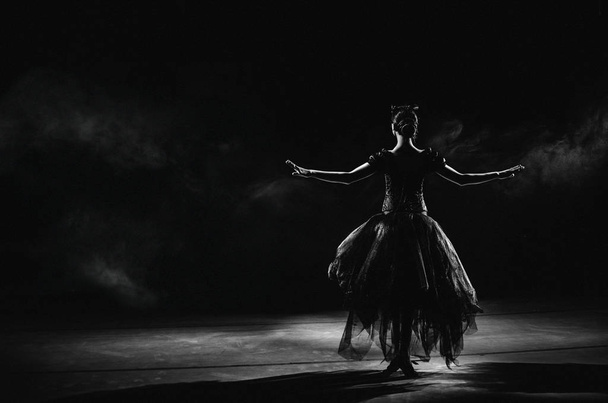 Silhouette eines jungen Balletttänzers, der mit dem Rücken zur Kamera steht - Foto, Bild
