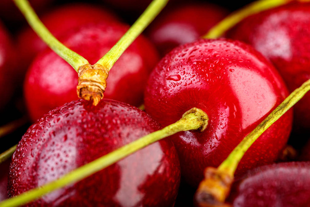 Cherries background. Isolated cherries. Cherry fruits isolated on white background with clipping path. Sweet cherry isolated on white - Foto, afbeelding