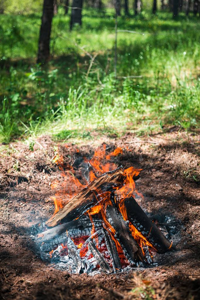 Feuer. eine helle Flamme. Ein Hauch von Natur. Waldbrände. Textur der rauchenden Kohlen. - Foto, Bild