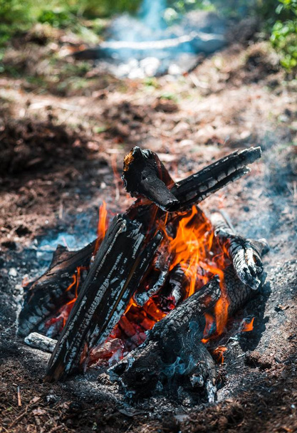 Fuego. Una llama brillante. Una brisa en la naturaleza. Incendios. Textura de carbones humeantes
. - Foto, Imagen