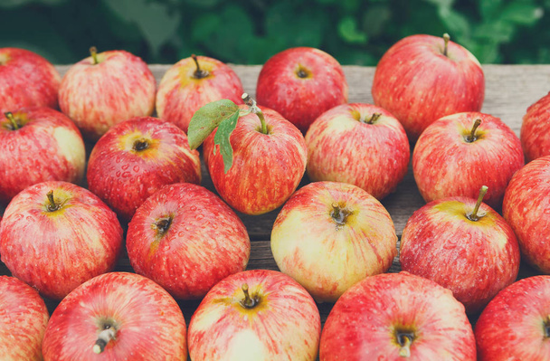 Sweet fresh ripe red apple harvest background - Foto, Imagen