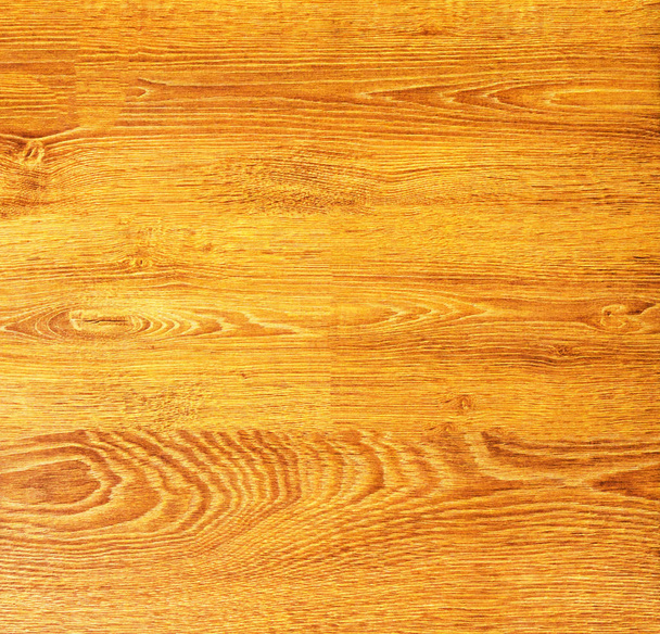 The texture of the wood. Paul. birch - Φωτογραφία, εικόνα