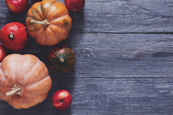 Autumn harvest pumpkins background with copy space - Foto, Imagem
