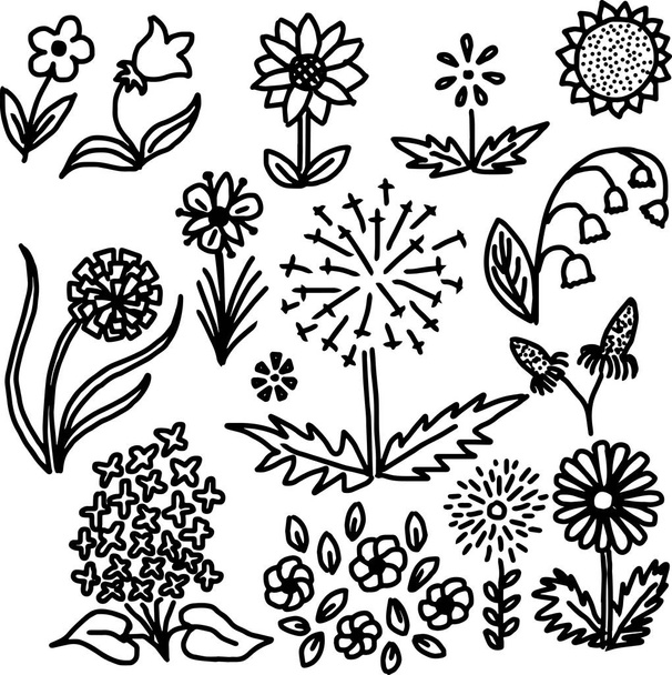 hand drawn flowers doodles - Vettoriali, immagini
