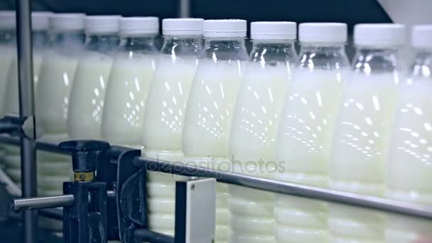 Línea transportadora de fábrica de productos lácteos. Línea de fabricación en planta lechera. Fábrica de leche
 - Imágenes, Vídeo