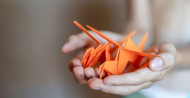 Origami birds in boy hands - Фото, зображення