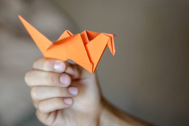 Origami bird in boy hands - Fotoğraf, Görsel