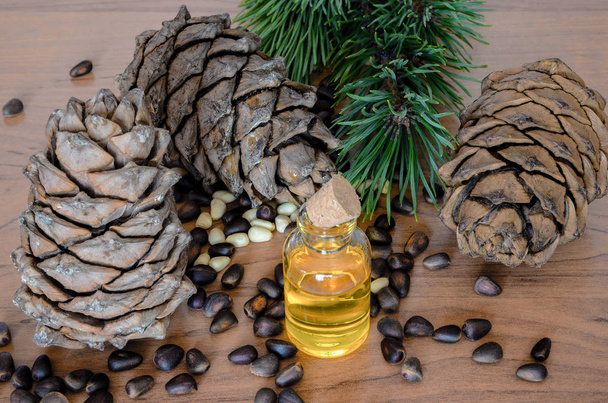 Cedar pine nuts and oil - Фото, изображение