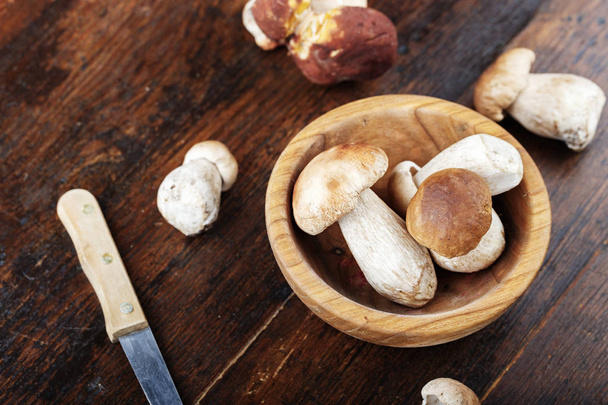 Mushroom Boletus with knife  - Foto, afbeelding