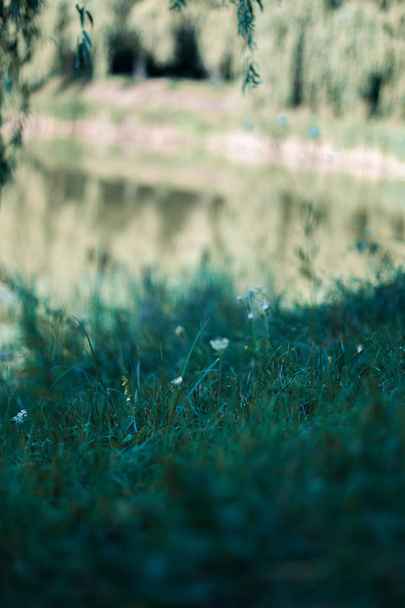 Пейзаж сентябрьского пруда в солнечный день
. - Фото, изображение