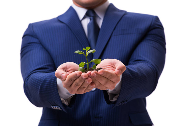 Бизнесмен держит зеленую капусту изолированной на белом - Фото, изображение