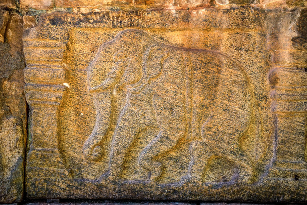 Sculture di elefanti di Polonnaruwa nello Sri Lanka
 - Foto, immagini