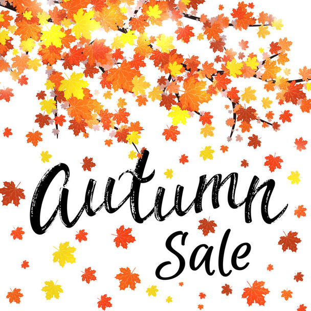 Autumn sale lettering banner design. Seasonal discount fall leaf poster with textured hand drawn typography and leaves on white background. Colorful vector illustration. EPS10 - Vetor, Imagem